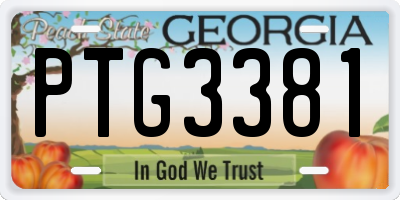 GA license plate PTG3381