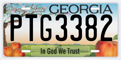 GA license plate PTG3382