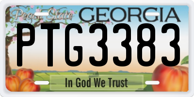 GA license plate PTG3383