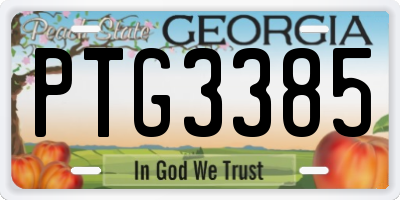 GA license plate PTG3385