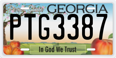 GA license plate PTG3387