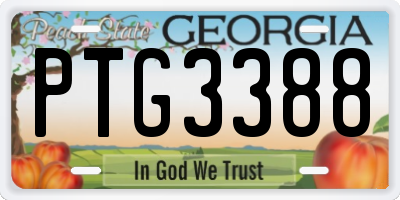 GA license plate PTG3388