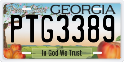GA license plate PTG3389