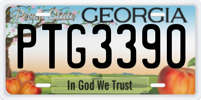 GA license plate PTG3390