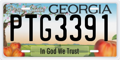 GA license plate PTG3391