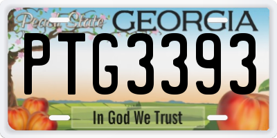 GA license plate PTG3393