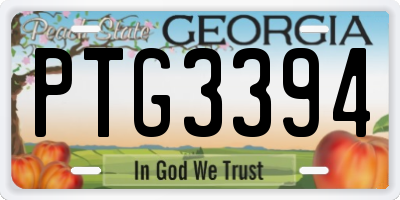 GA license plate PTG3394