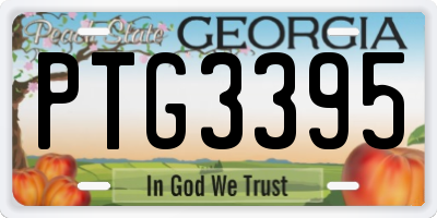 GA license plate PTG3395