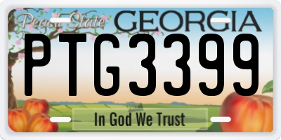 GA license plate PTG3399