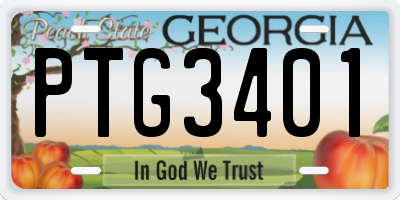 GA license plate PTG3401