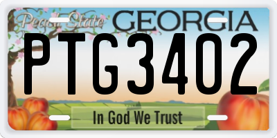 GA license plate PTG3402
