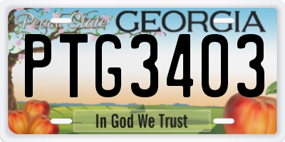GA license plate PTG3403