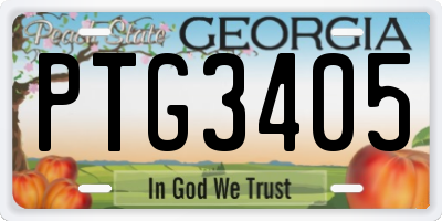 GA license plate PTG3405