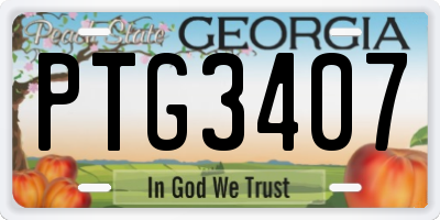 GA license plate PTG3407
