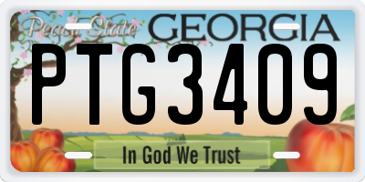 GA license plate PTG3409