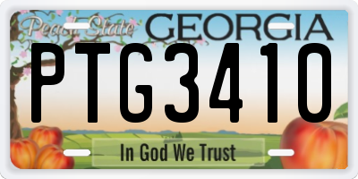 GA license plate PTG3410