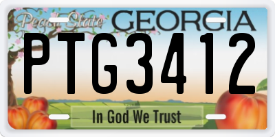 GA license plate PTG3412