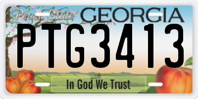 GA license plate PTG3413
