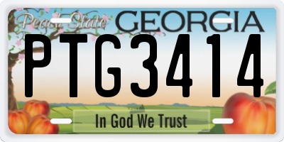 GA license plate PTG3414