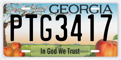 GA license plate PTG3417