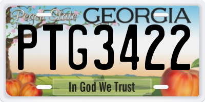 GA license plate PTG3422