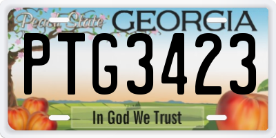 GA license plate PTG3423