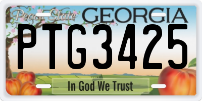 GA license plate PTG3425