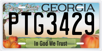 GA license plate PTG3429