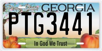 GA license plate PTG3441
