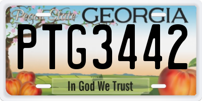 GA license plate PTG3442