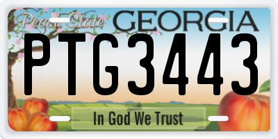 GA license plate PTG3443