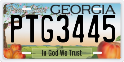 GA license plate PTG3445
