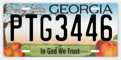 GA license plate PTG3446