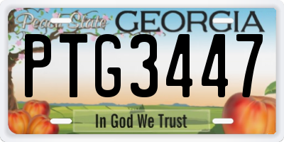 GA license plate PTG3447