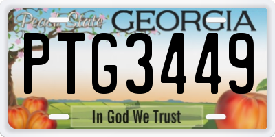 GA license plate PTG3449