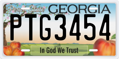 GA license plate PTG3454