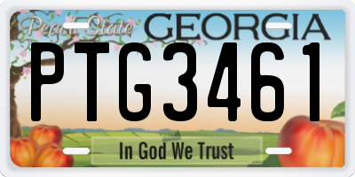 GA license plate PTG3461