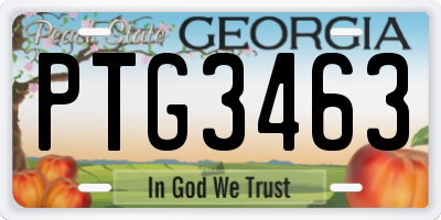GA license plate PTG3463