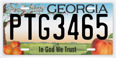 GA license plate PTG3465