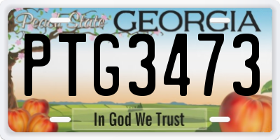 GA license plate PTG3473