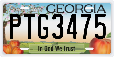 GA license plate PTG3475