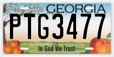 GA license plate PTG3477