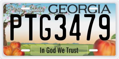 GA license plate PTG3479