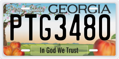 GA license plate PTG3480