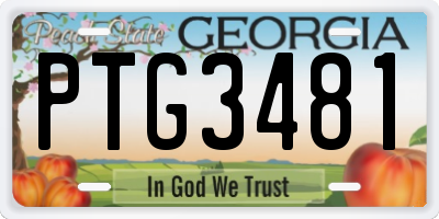 GA license plate PTG3481