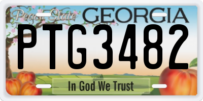 GA license plate PTG3482
