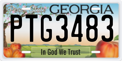 GA license plate PTG3483