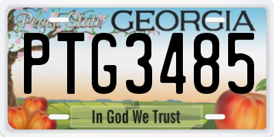 GA license plate PTG3485