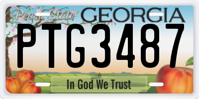 GA license plate PTG3487
