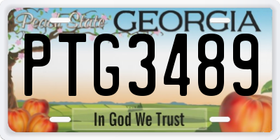 GA license plate PTG3489